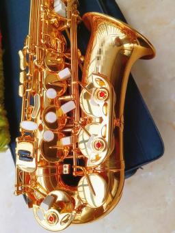 Profissional Alto Eb saxofone com caso acessórios, bronze ouro, E Flat Sax desempenho, instrumento musical, 802 - Image 2