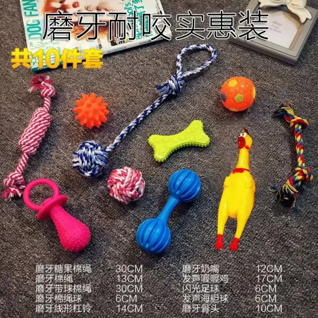 Conjunto de Treinamento Vocal para Cães de Pelúcia: Acessórios para Brincadeiras com Cachorrinhos, Peluche Golden Retriever, Lançamento 2024
