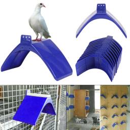 Stand Rest for Pombo Bird, Equipamento para Pássaro, Suporte para Pássaro e Pássaro, Poleiros para Pomba, Equipamento para Pássaro, 20 PCs - Image 2