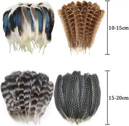 Natural manchado Turquia penas para artesanato, feisão penas, DIY chapéu arranjos florais asa, casamento pena, 4 estilos, 40pcs - Image 2