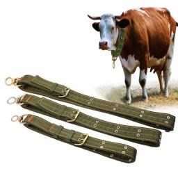1 pçs colar de cabra de gado cinto de lona burro cavalo vaca ovelhas ferramentas de treinamento forte durável colar belay tie equipamentos veterinários - Image 1