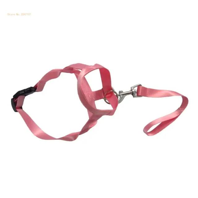 Máscara Focinho Elástica para Cães: Focinhos Anti-Mordida para Controlar Latidos e Proteger Pets