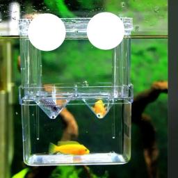 Caixa De Isolamento De Reprodução De Peixes De Aquário De Peixes De Aquário De Alta Clara Criador, incubadora De Chocagem Dupla De Tanque De Peixes - Image 1