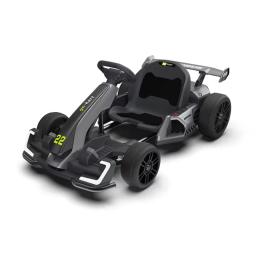 Carros elétricos de corrida, karting, 300w, condução dupla, pedal de grande potência, drift elétrico, karts para crianças e adultos, bateria 24v 5ah - Image 6