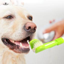 Pet Toothbrush Kit para cão e gato, Cuidados dentários, Três cabeças, Escova de dentes, Limpeza dos dentes, Boca do cão - Image 1
