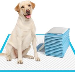 Super absorvente e à prova de vazamento descartáveis Pet Pee Pads, Dog Pee Pads, Extra Grande, Filhotes e Filhotes, 120pcs - Image 1