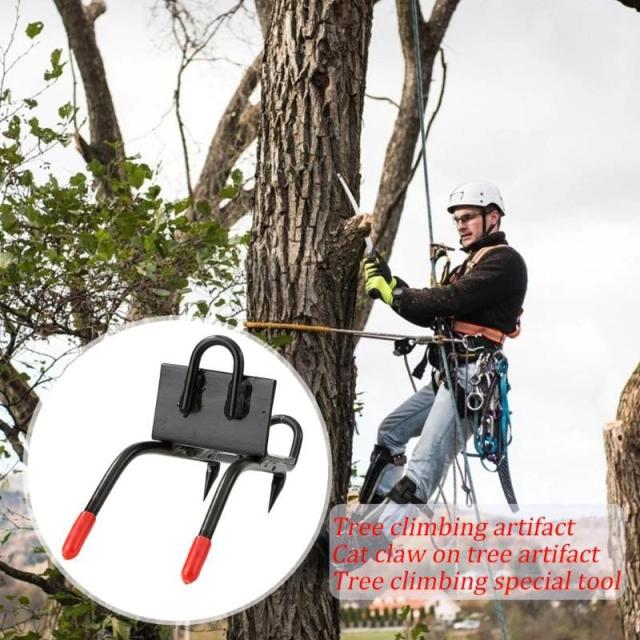 Sapatos de Escalada Antiderrapantes com Multi Pole Spikes e Gancho para Observação em Caça