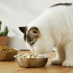 Tigela aço inoxidável para animais estimação, tigela alimentação para cachorro, prato alimentação inoxidável, tigela - Image 2