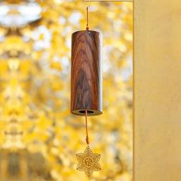 Instrumentos De Percussão Profissional, Sinos Diatônicos Japoneses, Chimes De Vento Ao Ar Livre, Paisagem De Som, Meditação Acessórios - Image 4