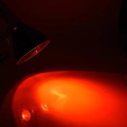Heat Sunlight Lamp para répteis anfíbios, pássaros e cobras, UVA e UVB - Image 3