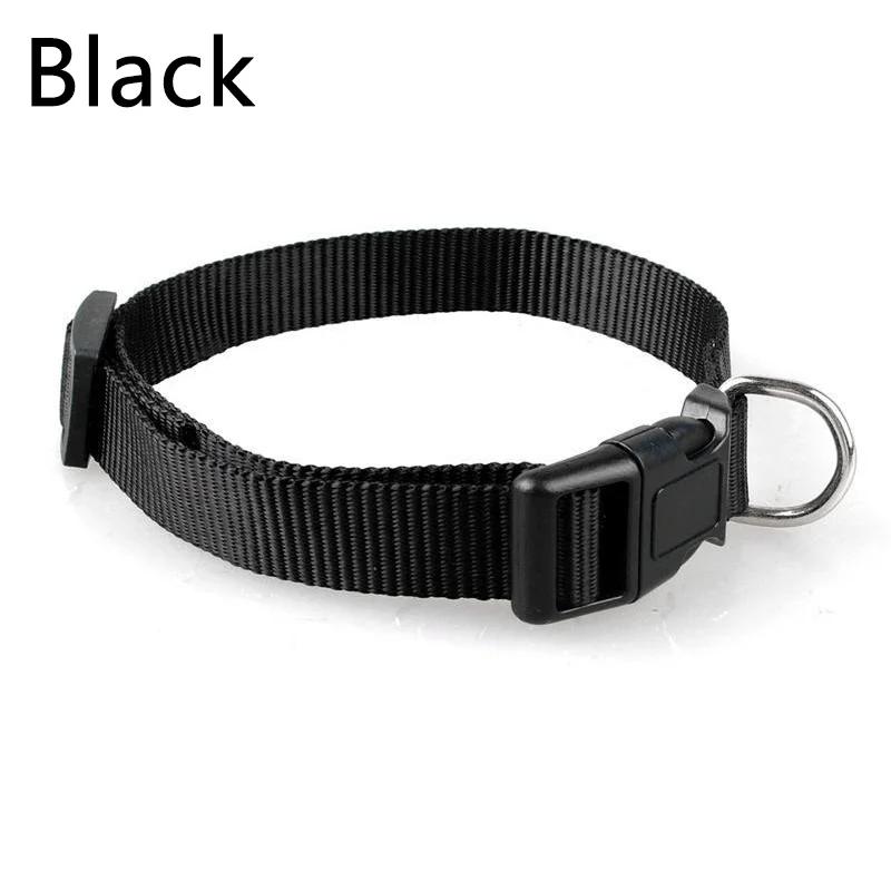 Coleiras De Nylon Ajustáveis Para Animais De Estimação, Coleiras De Cachorro, Coleira De Pescoço De Gato, Cor Sólida, Cachorro, Chihuahua, 1Pc - Image 1