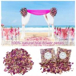 Pétalas biodegradáveis para casamento e decoração de festa, confetes biodegradáveis - Image 6