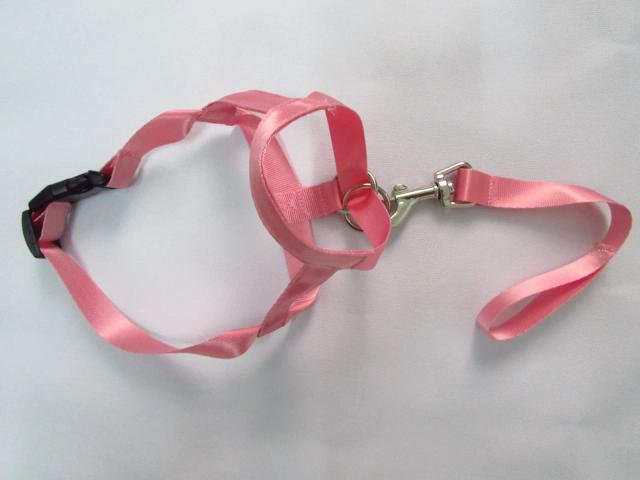 Focinho Ajustável de Nylon para Cães - Halti para Treinamento e Controle de Latidos, Confortável e Eficiente