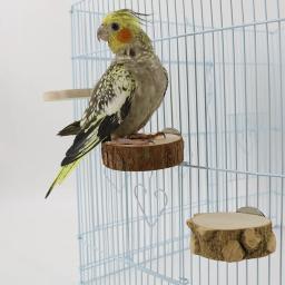 Round Wooden Stand Board para Pet, Bird Cage Poleiro, Poleiros Plataforma, Poleiros para Chinchilla, Squirrel Birds, Resin Toy, Novo, 6 cm, 8 cm, 10cm - Image 5