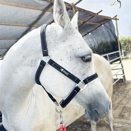 Cabeça de freio de cavalo de couro PU – Conjunto de ponteiros equestre ajustável para cavalos – Acessórios de aderência de equitação duráveis - Image 1