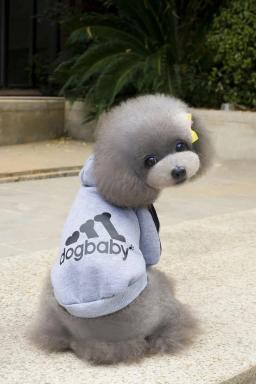 Roupas esportivas com capuz para animais, capuz com duas pernas, cachorro e gato pequenos, pelúcia vip, outono e inverno, 1 pc - Image 6