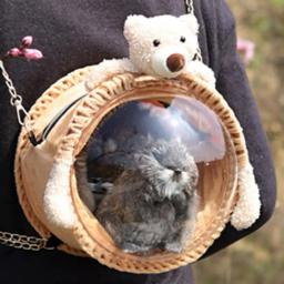 Pet Carrier Shoulder Bag, Viagem Mochila, Pequenos Animais, Hamsters, Chinchilas - Image 2