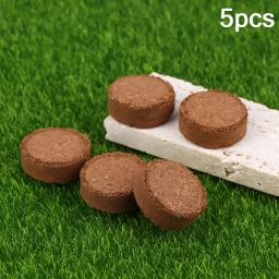Comprimido Coco fibra envasamento do solo, médio de coco tijolos, interiores ou exteriores, Bonsai ervas suprimentos, 5pcs - Image 1