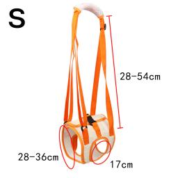 Ajustável cão levantar arnês para pernas traseiras, Pet suporte Sling, ajuda pernas fracas, Stand Up Dogs Aid, ferramenta de assistência, Novo, 2022 - Image 2