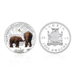 Moeda do Desafio Animais Africanos Ameaçados, Metal, Banhado a Prata, Cristal, Moeda Comemorativa, Presente da Coleção, 1000 kWa - Image 3