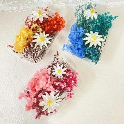 Pacote de Material Artificial Flor Seca, Materiais Florais DIY, Flor Eterna, Artesanato, Decoração De Festa De Casamento, Curso De Arte Flor - Image 1