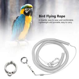 Pássaro pé corrente papagaio anti-voando corda de tração pássaro pés pulseira liga pé anel pet pássaro voando viagem treinamento trela - Image 2