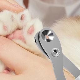 Professional Nail Scissors para Pet Grooming, Cat e Dog Nail Clippers, Toe Claw Trimmer, Pet Grooming Suprimentos, Produtos Pequenos - Image 2
