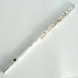 Flauta banhada a prata para venda, furos fechados, instrumentos de sopro profissionais, tocando palco, 16 buracos 17 buracos - Image 4