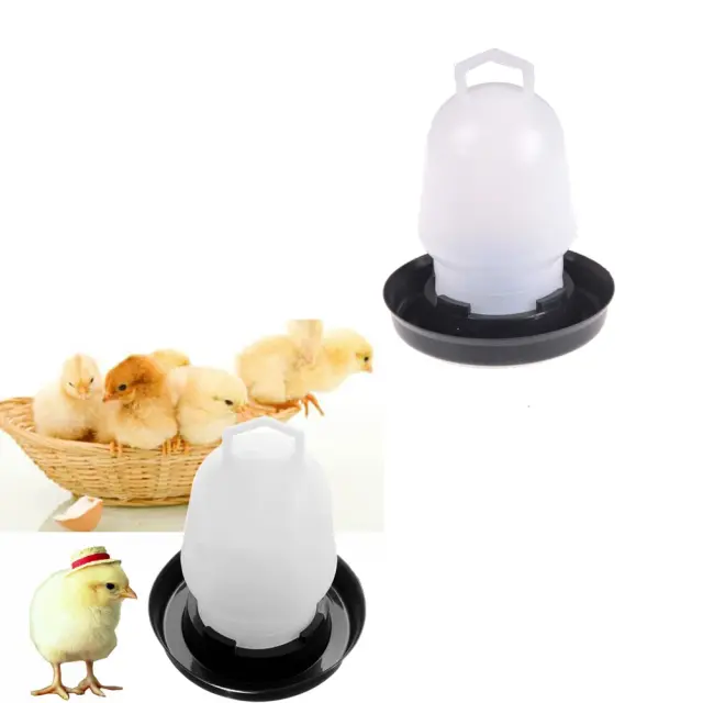Bebedor Automático para Pintainhos e Aves Domésticas - Tigela de Água de Frango 300ml