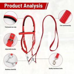Guia de cavalo ajustável lanffle noseband náilon equino noseband rédeas para mulheres homens macio forrado trilha equitação suprimentos equestres - Image 4