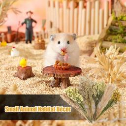 Nature Flower Herb Bedding Decor, Hamster Cage Suprimentos para Gerbils Coelho e Outros Pet Pequeno - Image 4