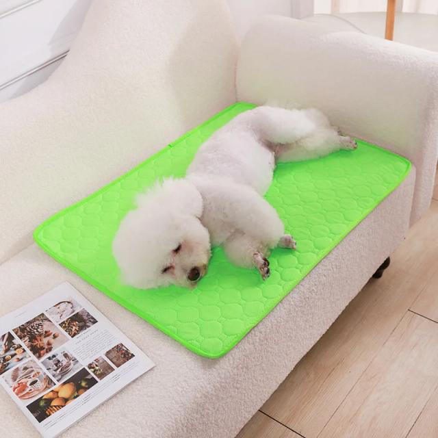 Cobertor Reutilizável para Cães: Fralda Absorvente Lavável, Almofada de Treinamento e Tapete de Urina Multiuso