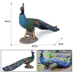 Figuras de animais selvagens para crianças, realista, animal, sólido, pavão, abs, figuras de ação, coleção, brinquedos educativos, presente para crianças, 25cm - Image 6