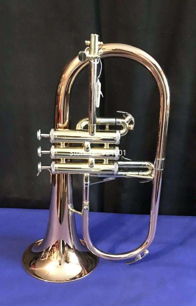 Flugelhorn Bb de Latão Vermelho com Bocal e Estojo - Instrumento Musical Profissional de Alta Qualidade com Frete Grátis
