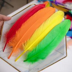 50/100 peças penas de ganso tingidas várias penas de cisne naturais para artesanato joias de casamento acessórios de festa 15-20cm/6-8 tamanhos - Image 1