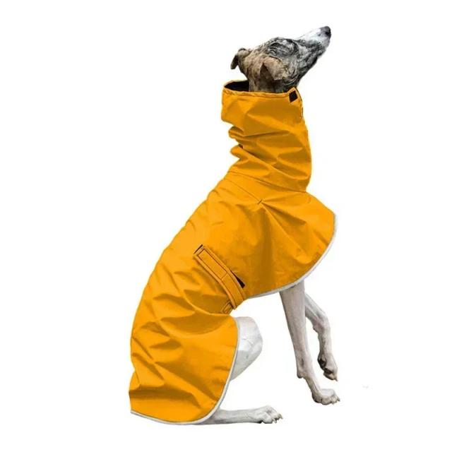 Jaqueta impermeável e aquecida para Whippet, ajuste perfeito para o inverno