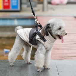 Casaco impermeável com arnês, roupa quente para animais, casaco para cães pequenos e grandes, chihuahua, roupas de buldogue francês, inverno - Image 4