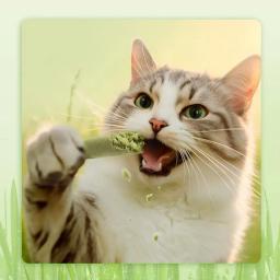 Cat Grass Scented Stick, Pet Snacks, Remoção Hairball, Linha do cabelo suave, Pronto para comer, Limpeza de dentes Varas, Pet Supplies, 1 Pc, 3 Pcs, 6Pcs - Image 2