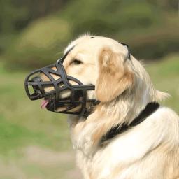 Focinho Do Cão Ajustável Silicone Macio Malha Respirável Forte Cesta para Small Medium Large Dog Mouth Mash Pet Acessórios de Treinamento - Image 2