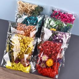 Flores Secas Resina UV Adesivos, Resina Epóxi Enchimento, DIY Fazer Jóias Artesanato, Material de Arte, Festa, Decoração Da Casa, 1 Saco - Image 1