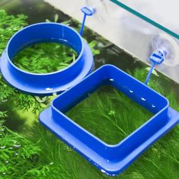 Alimentador de Alimentos Flutuante para Aquário, Espessamento De Peixes Alimentando Suprimentos Círculo De Flutuabilidade De Plástico, Anel De Alimentação Quadrado E Redondo - Image 1