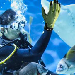 Luvas impermeáveis para mergulho, surf e pesca, lança e mergulho - Image 4