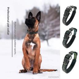 Arnês De Trela Do Cão Refletivo De Nylon, rede De Seda, fivela De Plástico, Pet Collar, Amazon Transfronteiriça, Pet fornecimentos - Image 1