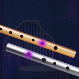Nova marca de alta qualidade instrumentos musicais apito irlandês 6 buracos c/d chave instrumento flauta para iniciantes alta baixa notas - Image 6