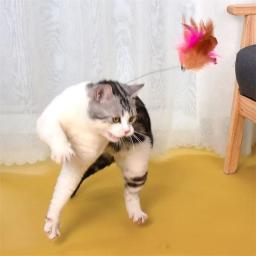 Brinquedos interativos para gatos, Teaser de penas engraçadas, Vara com Bell, Coleira de animais, Gatinho jogando varinha, Brinquedos de treinamento para gatos, Suprimentos - Image 2