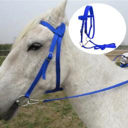 Nylon Bridle para passeios a cavalo, Rein Harness Headstall, Halter espessado, Engrenagem Equestre, Webbing Snaffle Removível - Image 5