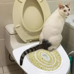 Reutilizável Indoor Potty para Gatos, Indoor Pet Kit Suprimentos de Lixo de Toalete, Sistema de Treinamento de Gato Profissional - Image 2