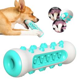 Escova de dentes molar para cão e cachorro, mastigar brinquedo, macio e seguro, atendimento odontológico, pet limpeza suprimentos - Image 1