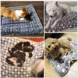 Cobertor macio macio para animais de estimação, tapete quente, respirável, pele amigável, impressão estrela bonito, cama de cães e gatos - Image 4
