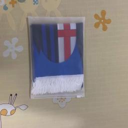 EOODLOVE-Bandeira cachecol personalizado, qualquer padrão, poliéster, esportes, férias, festa, esportes, cor cheia, 15x150cm - Image 6